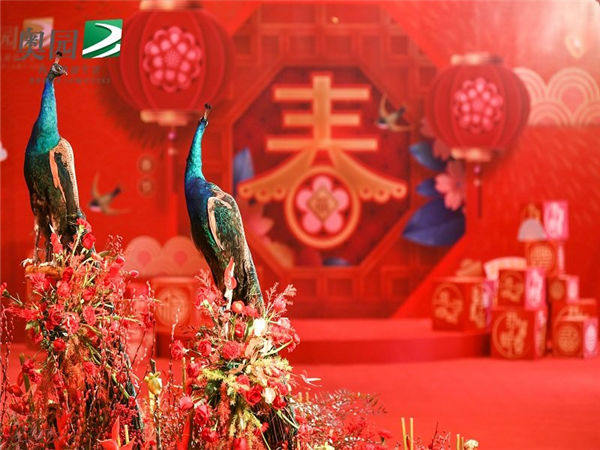 如何搞定高端的年会活动？以下这六点可以帮你！