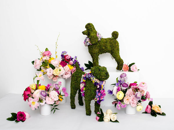 深圳时光在线案例分享：以动物为特色的活动策划