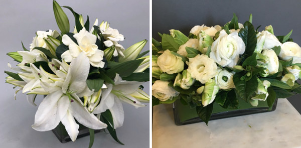 活动策划花卉：栀子花