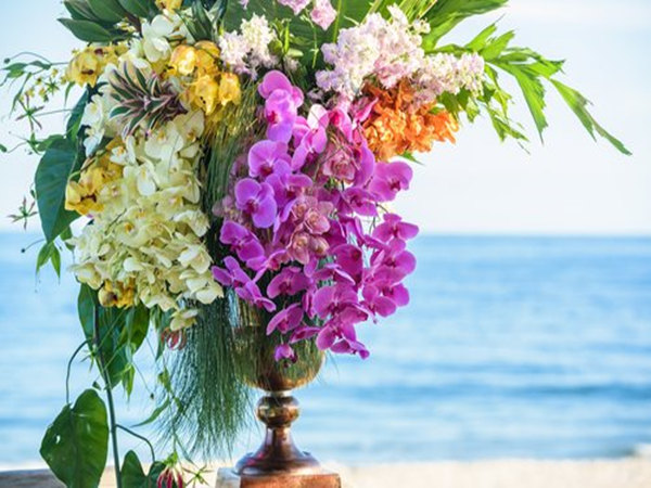 策划活动时如何与您的活动预算保持一致?