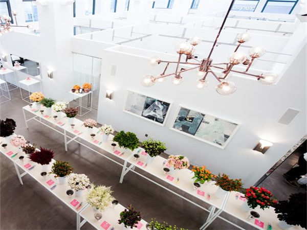 如何创建社交媒体活动策略? 如何创建社交媒体活动策略?