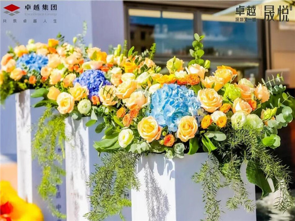 深圳开业庆典，点亮梦想的盛宴